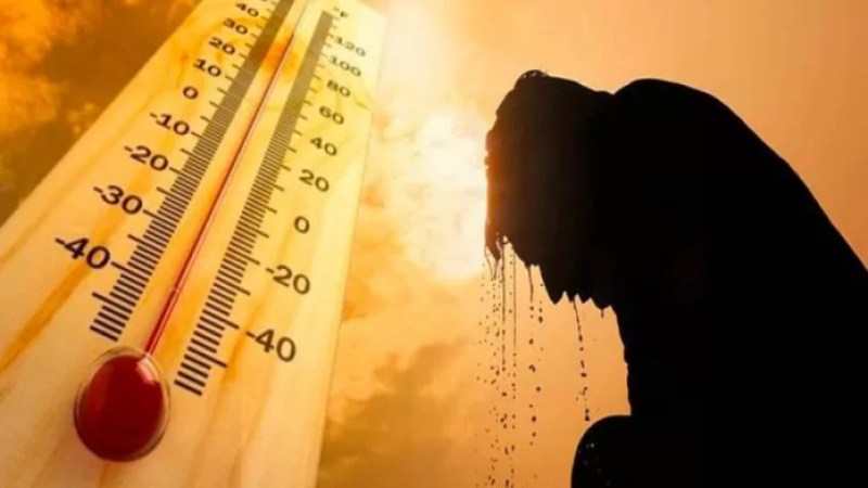 Weather Forecast: Algeria in grip of heatwave