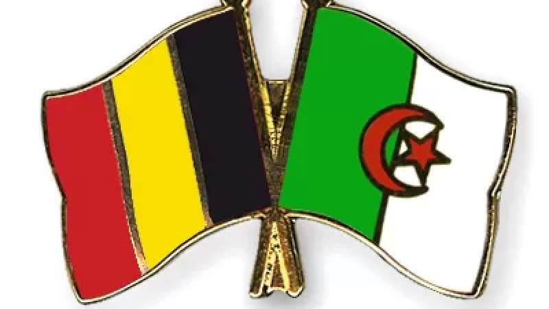 Diplomacy: Appointment of new Algerian Ambassador to Kingdom of Belgium approved