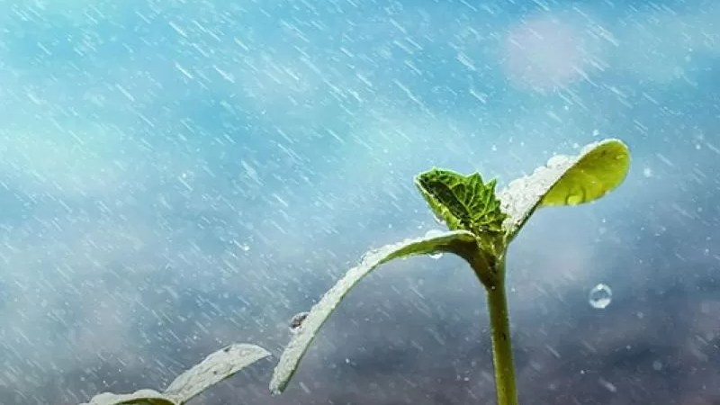 Salatul-Istisqa ‘rain-seeking’ prayer to be performed across all mosques nationwide