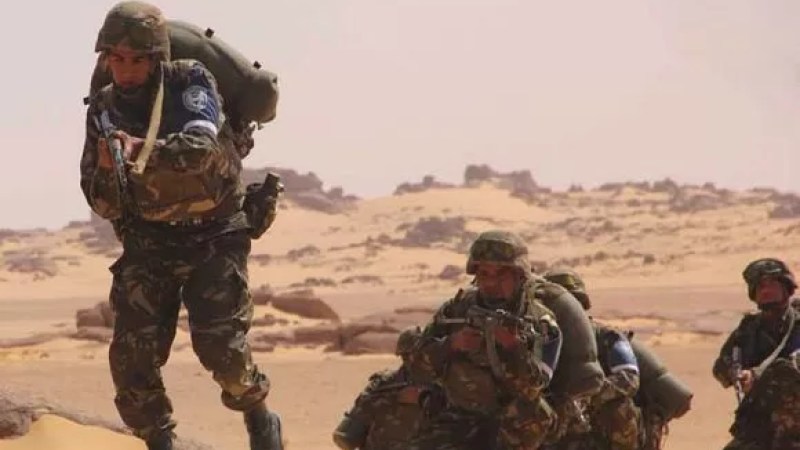 Algerian army: Transnational criminal gang dismantled in Tamanrasset