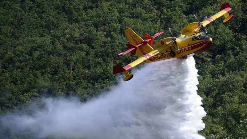 Council of ministers/ Firefighting: President Tebboune orders acquisition of 6 planes