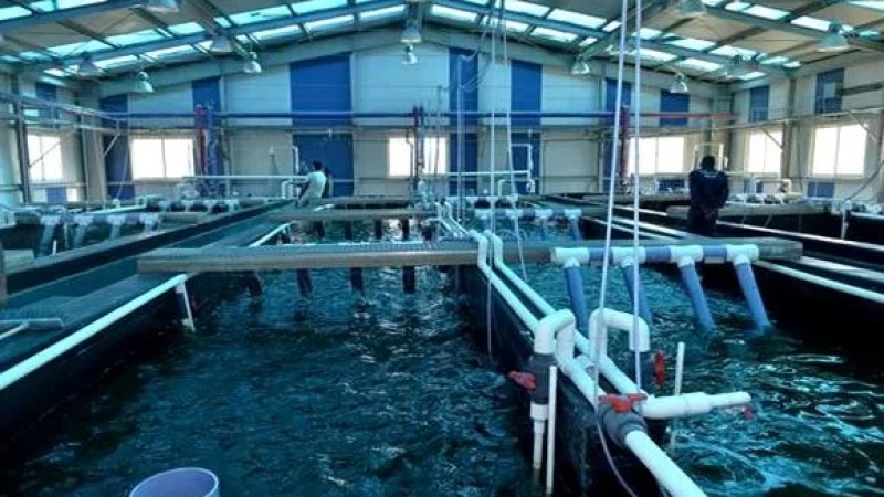 Tiaret: Creation of aquaculture cooperative integrated into agriculture, 06 other projects approved