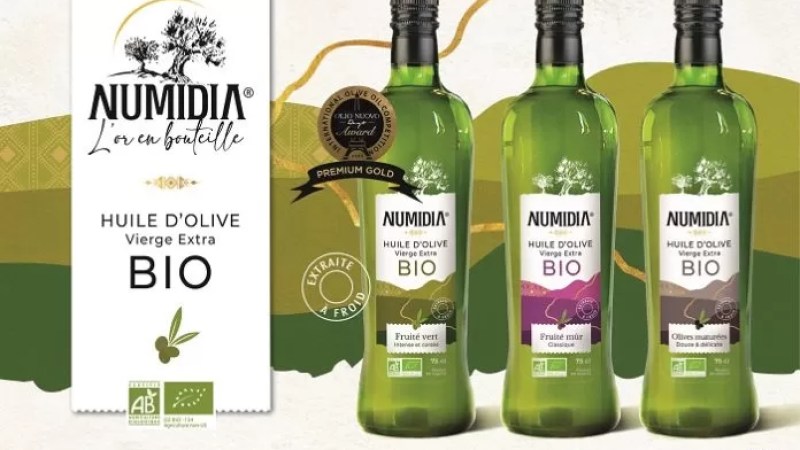 Olive oil: Algerian brand rewarded “Premium Gold” medal in international competition