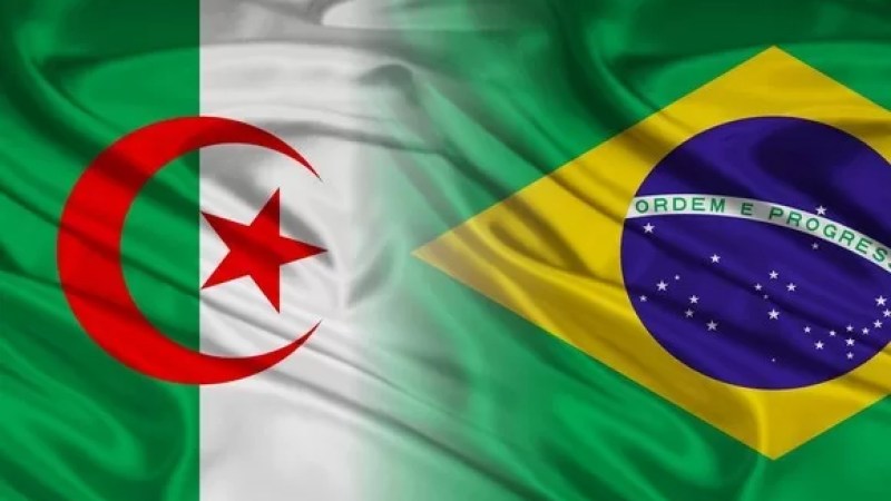 Algerian-Brazilian Cooperation: MoU between Sonatrach, WEG S.A. inked 
