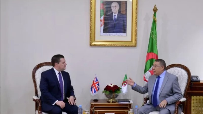 Interior Minister receives British Minister for Immigration: Security cooperation on agenda