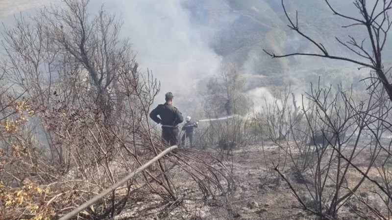 Tizi Ouzou: 4 advanced firefighting posts to be put into service, June 