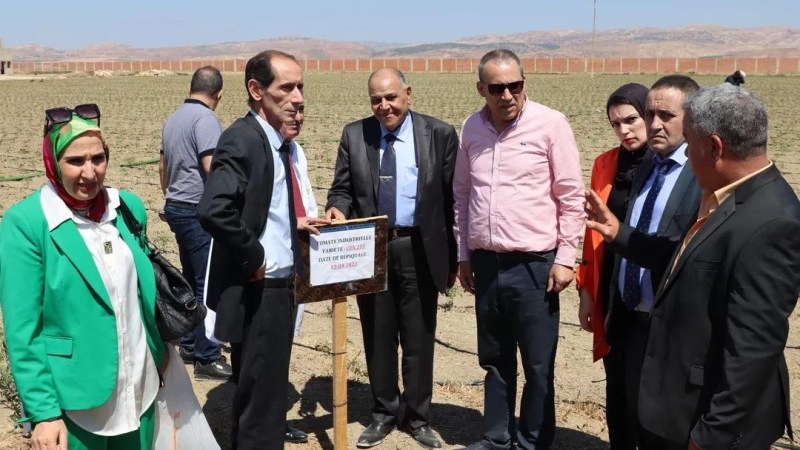 Local Development Bank (BDL) plays vital role in promoting sustainable development, addressing socio-economic challenges