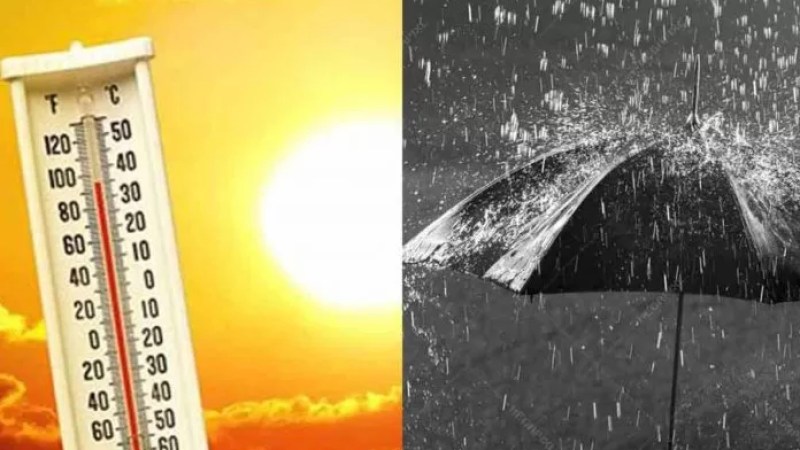 Weather Forecast: Algeria in grip of rains, heatwave as mercury soars to 44° in shade