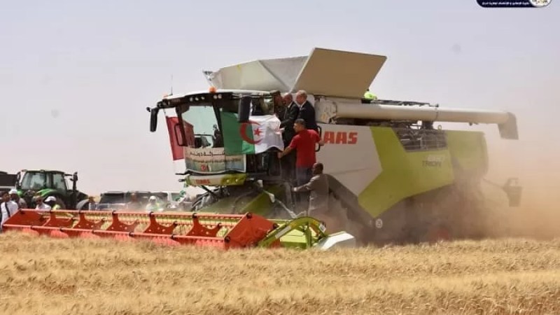 Adrar: 1st harvest of Turkish company Dunaysir’s agricultural project