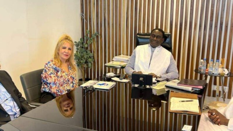 CGEA’s head Neghza received by Minister in charge of monitoring Emerging Senegal Plan, agreement protocol to be inked