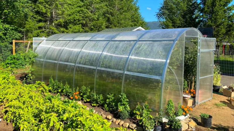 Algerian-Dutch cooperation project for design of smart greenhouses