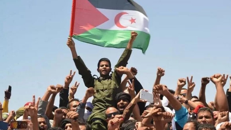 Serbia Affirms Unwavering Support for UN-Led Process in Western Sahara
