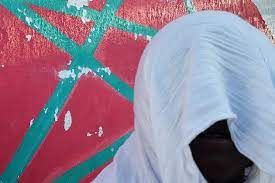 Moroccan journalist belittles success of Algeria by denigrating Mozambique!