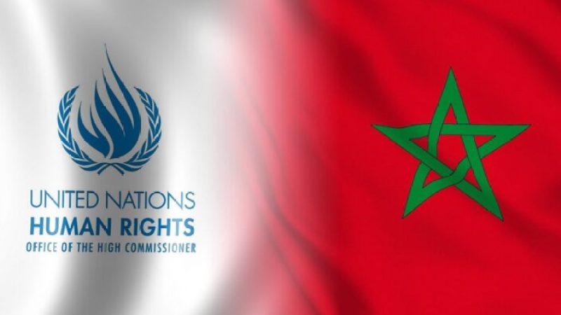 Transitioning from Executioner to Global Human Rights Leadership: Unveiling the Makhzenian Delirium