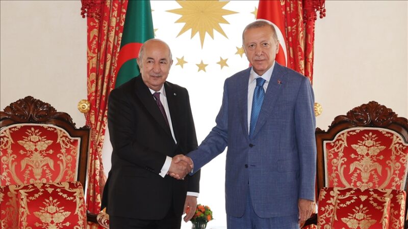 President Tebboune holds one-on-one talks with President Erdogan, forging stronger Türkiye-Algeria ties (video)