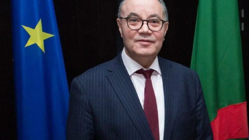 Diplomacy: Amar Belani Appointed Algerian Ambassador to Georgia
