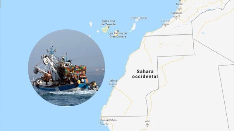 European Court of Justice Confirms Fishing Agreement Does Not Apply to Waters of Western Sahara, Asserts Territory is Not Part of Morocco