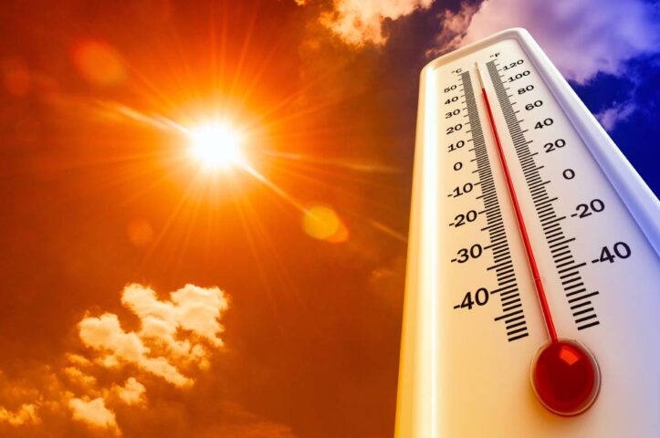 Red Alert: Heatwave Ravages 4 Wilayas in Northern Algeria