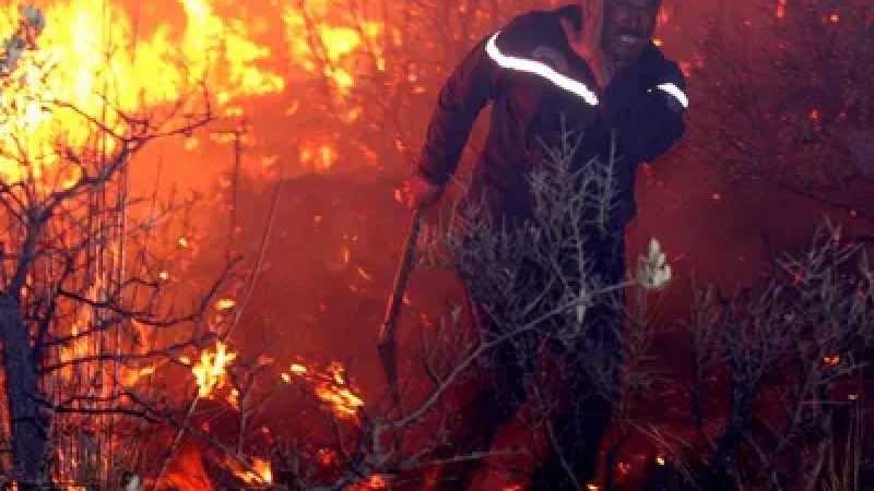 Nation Rallies Against Devastating Wildfires: Heroes Emerge as Government Takes Swift Action