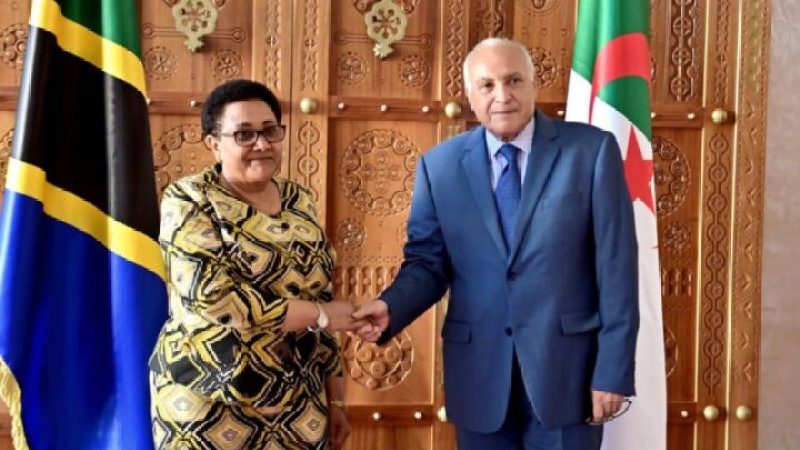 Enhancing Economic Ties: Algeria and Tanzania Forge Strategic Partnership with Joint Council of Businessmen