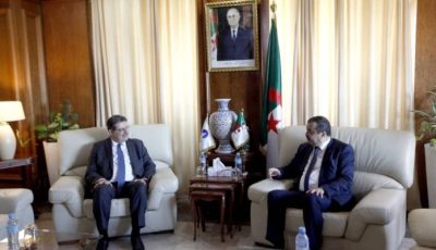 Minister of Energy, Mohamed Arkab, Discusses Future of Gas Market with GECF Secretary General