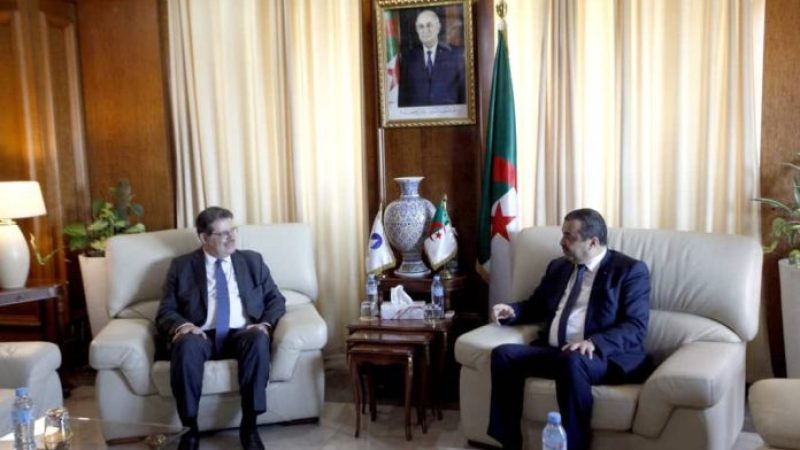 Minister of Energy, Mohamed Arkab, Discusses Future of Gas Market with GECF Secretary General