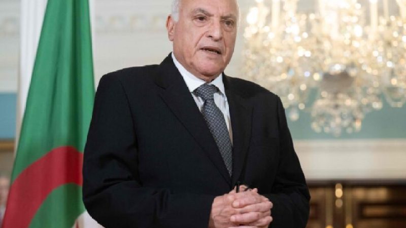 Niger: Algeria’s Diplomatic Efforts Rewarded