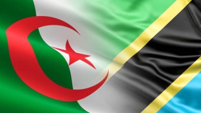 Algerian-Tanzanian cooperation: The 6th Joint Commission in 2025 in Dar Es Salaam