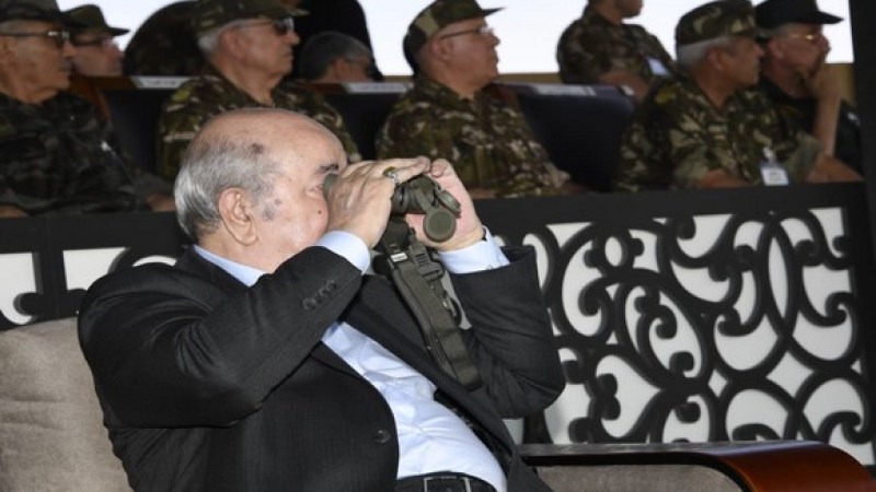 Sahel: Algeria’ Strategic Approach Countering Neocolonial Predation