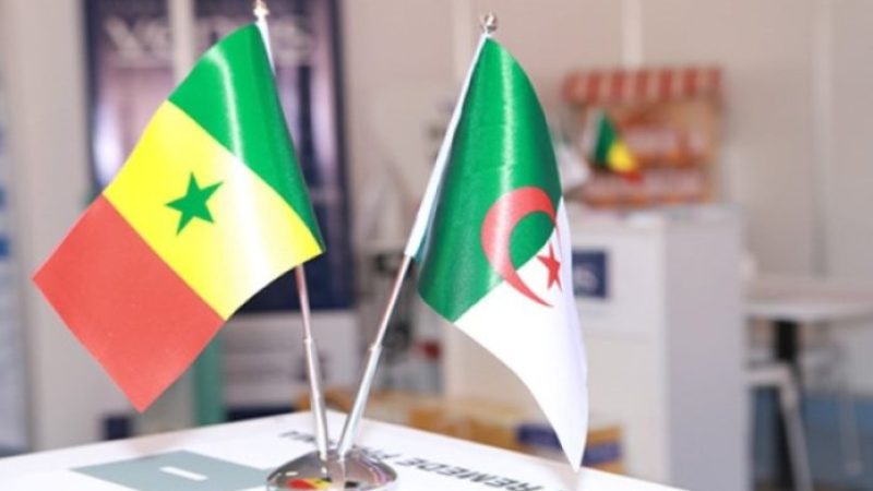 Algerian Products Shine in Dakar: Permanent Exhibition Unveiled to Foster African Trade