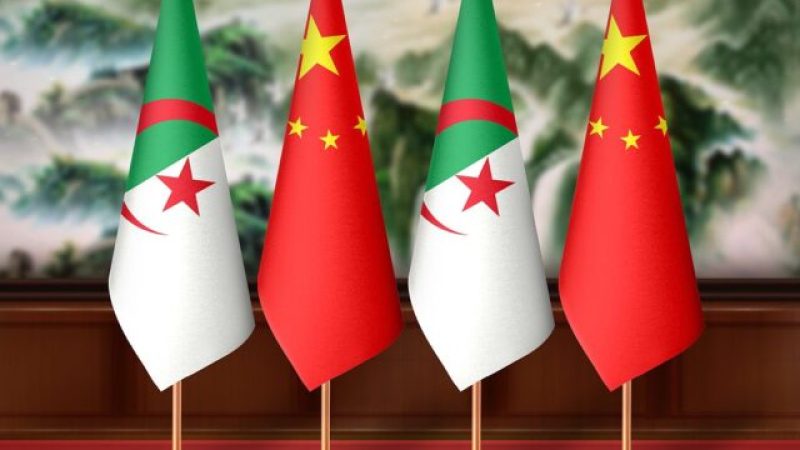 Algerian-Chinese Business Forum in Oran: Signing of Over 15 Partnership Agreements Boosts Economic Ties