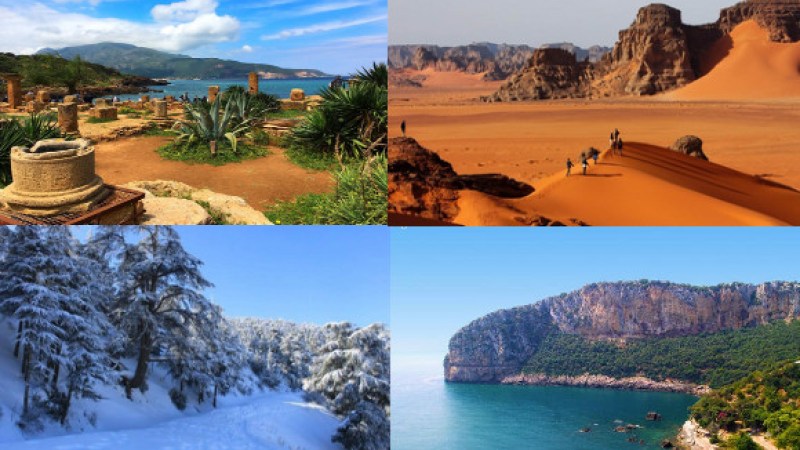 The International Tourism and Travel Fair Returns with a Flourish After a 3-Year Hiatus