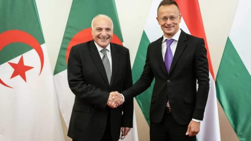 Hungary Reaffirms Strong Support for Algeria’s Initiative in Niger Crisis Resolution