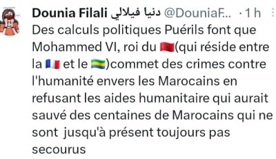 Non-Assistance to Disaster Areas of Marrakech: Dounia Filali Accuses Mohamed VI of Crimes Against Humanity
