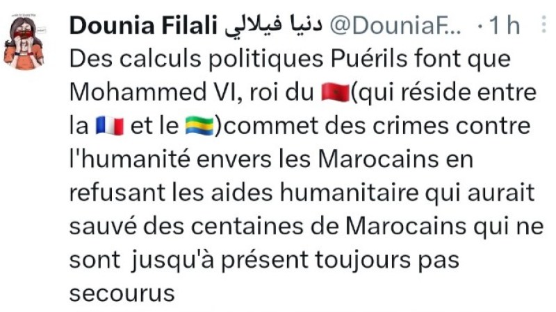 Non-Assistance to Disaster Areas of Marrakech: Dounia Filali Accuses Mohamed VI of Crimes Against Humanity