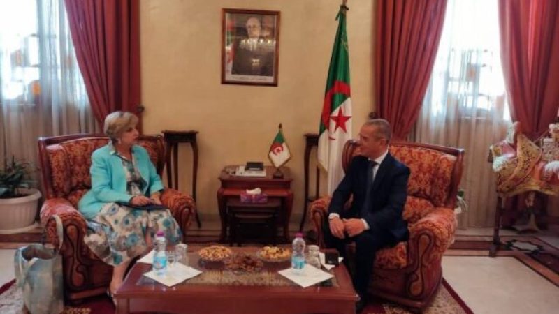 Algerian Agricultural Potential Attracts American Investors