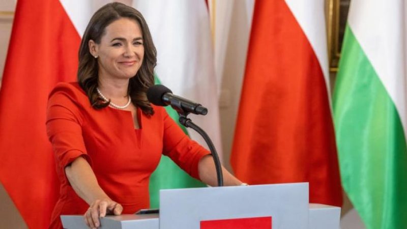 Algeria Welcomes Hungarian President for Historic Visit: Boosting Bilateral Relations and Gas Export Potential
