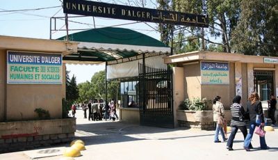 Algeria’s Higher Education Evolution: A Study on the Feasibility of Returning to the ‘Classic Bachelor Degree’ System