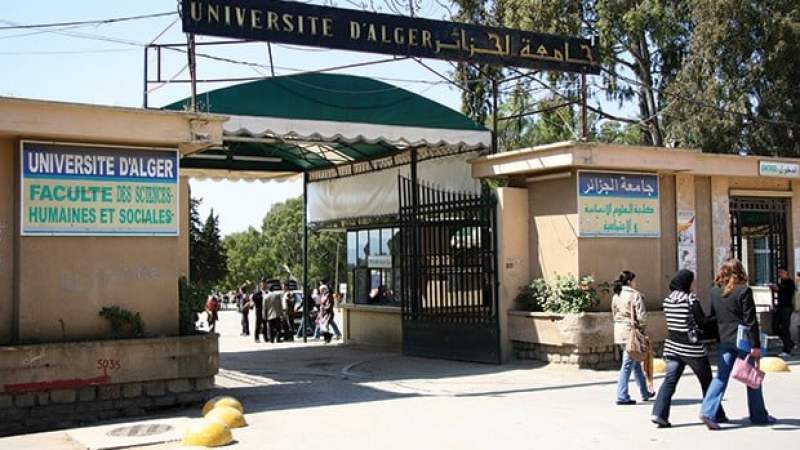 Algeria’s Higher Education Evolution: A Study on the Feasibility of Returning to the ‘Classic Bachelor Degree’ System