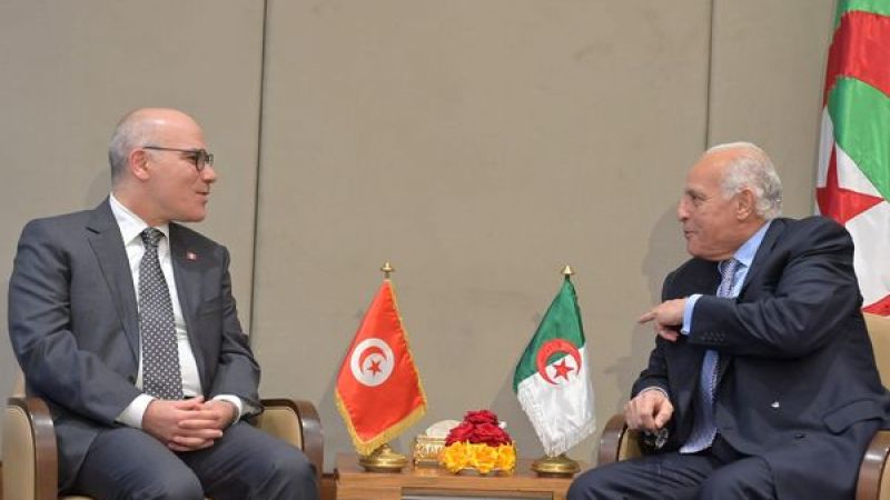Diplomatic Consultation: Algerian and Tunisian Foreign Ministers Address Ongoing Palestinian Crisis