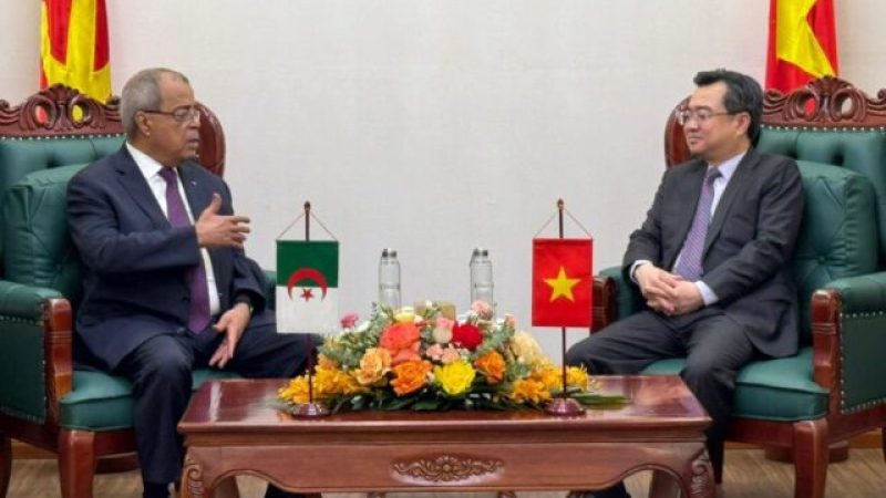 Algeria, Vietnam Reinvigorate their Collaborative Spirit