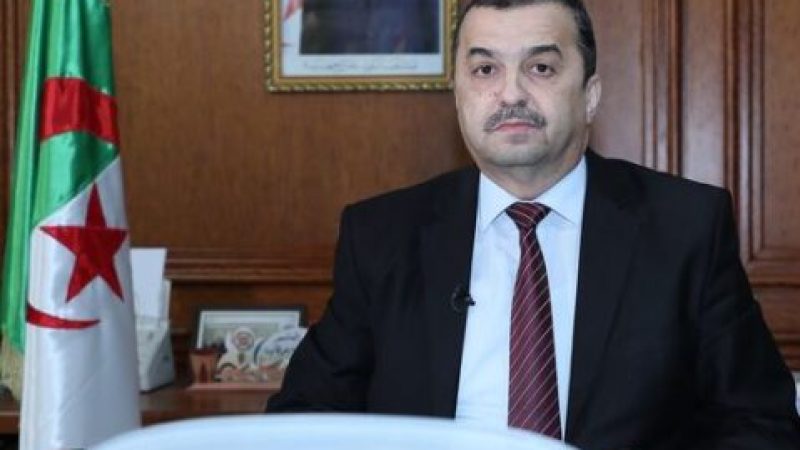 44th APPO Meeting: Minister Mohamed Arkab to Attend in Cotonou