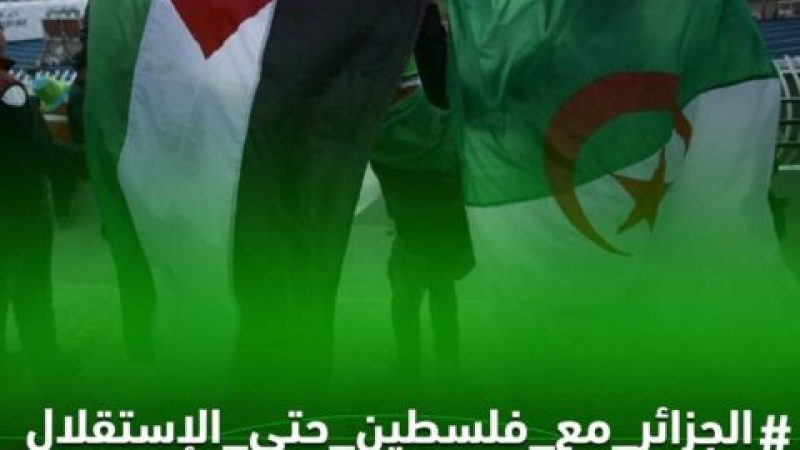 Dzair Tube Unveils #Algeria_with_Palestine_until_Independence: Solidarity Amidst Ongoing Zionist Aggressions