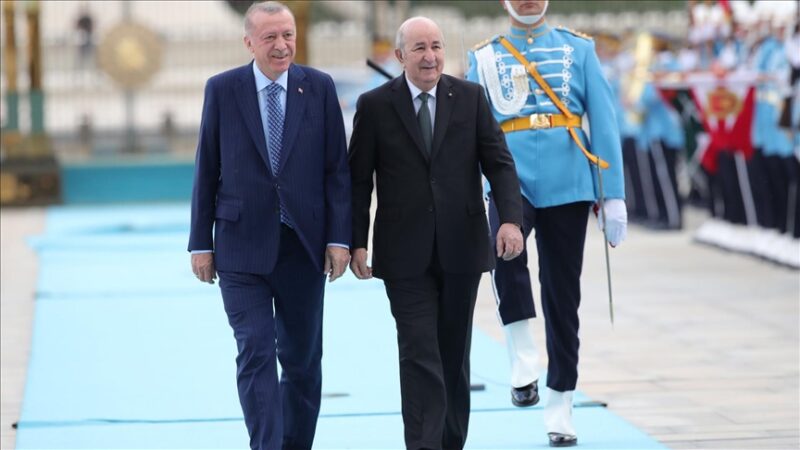 Turkish President Recep Tayyip Erdogan to Strengthen Bilateral Ties with Upcoming Visit to Algeria