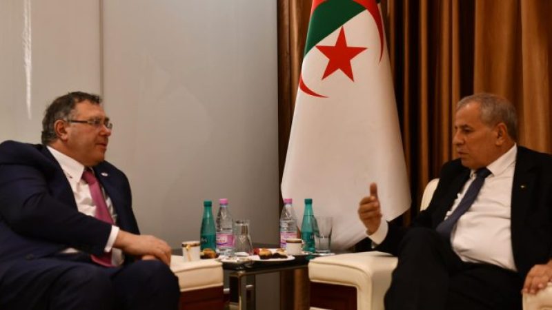 Sonatrach-Total Energies Partnership Discussed