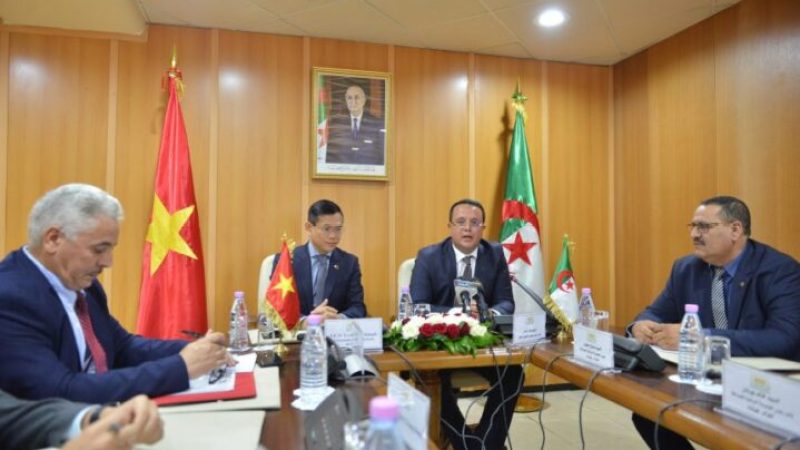 Algeria-Vietnam: Grand Joint Commission Date Set to Strengthen Bilateral Relations