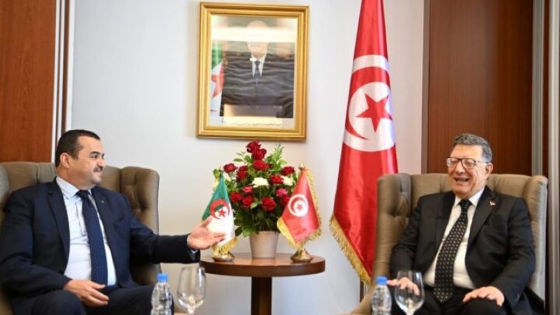 Enhancing Cooperation in Energy and Mining: Algeria, Tunisia Forge Stronger Ties