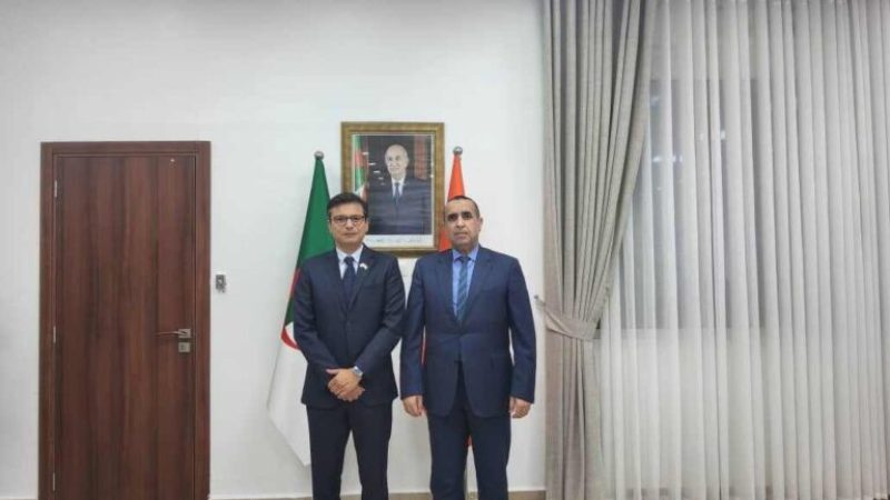 Sonelgaz CEO Adjal Hosts TotalEnergies Representative in Algeria