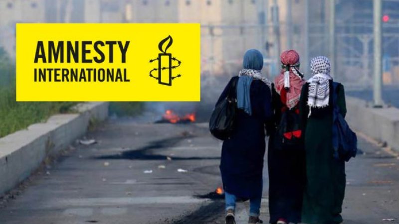 Amnesty International Accuses Zionist Entity of War Crimes Amidst Siege on Last Hospital in Northern Gaza