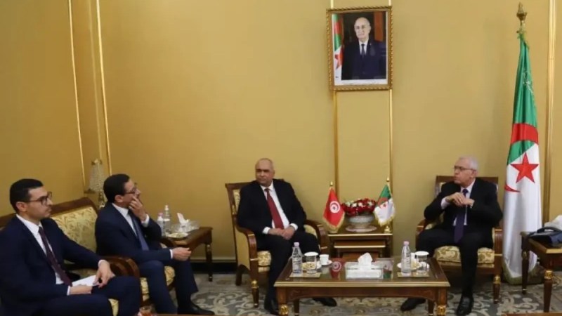 Minister of Justice Meets First President of Tunisian Administrative Court